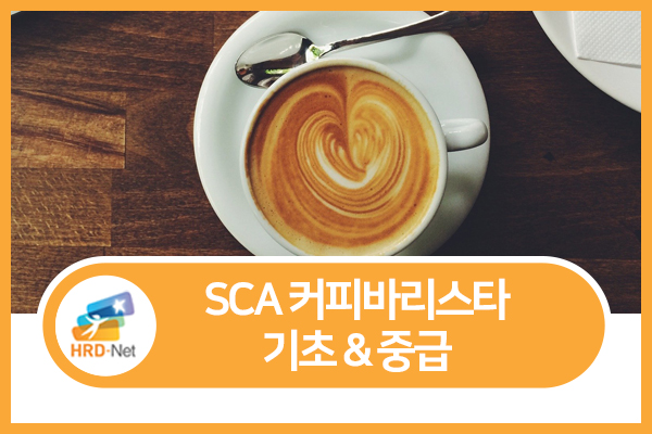 (평일오전)SCA 커피 바리스타 기초&중급 자격증 취득과정_22회차